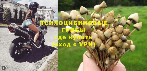 бошки Бугульма