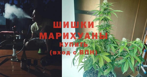 трава Бронницы